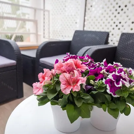 Orlando Tenerife Sur Dumbo